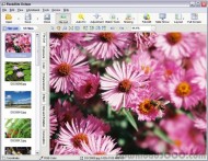 PhotoRite Deluxe - Windows photo editor (autofix) screenshot